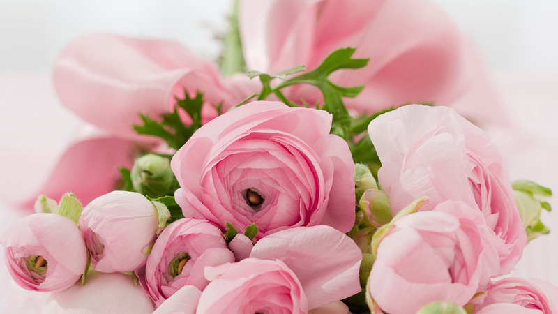 ピンクの薔薇の花束